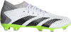 GZ0024 adidas Predator Accuracy .3 FG Wit