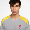 FQ2611-078 Nike Liverpool FC Trainingsshirt 2024-2025 Grijs