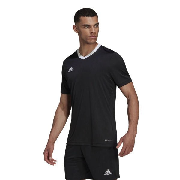 HE1573 adidas Entrada 22 T-shirt Zwart